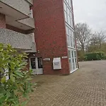 Duenenrose -