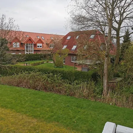 Duenenrose -