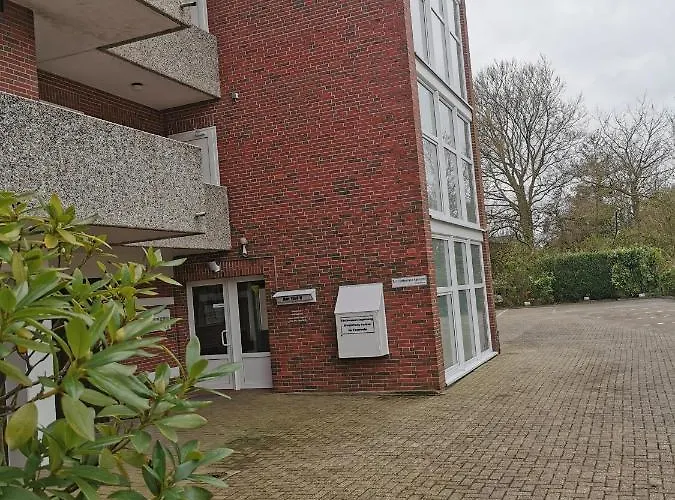 Duenenrose -